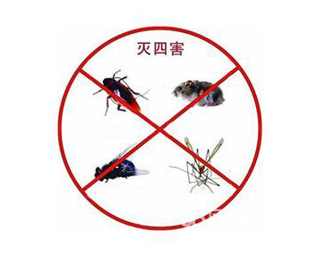 阜陽(yáng)除四害機(jī)構(gòu)